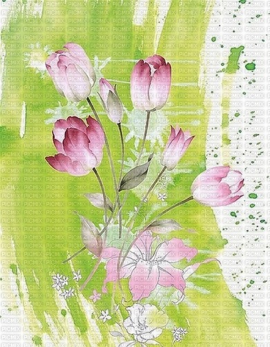 Background  Green White Flower - Bogusia - 免费PNG