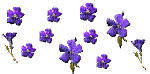 синие цветочки - Nemokamas animacinis gif