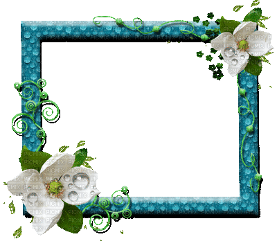cadre frame rahmen tube fleur flower green spring printemps - GIF animado grátis