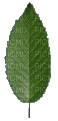 Leaf - Δωρεάν κινούμενο GIF