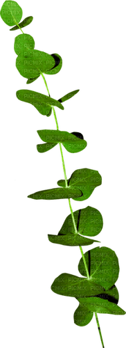 Branch.Leaves.Green - Free PNG