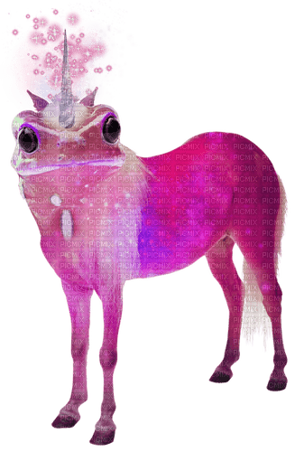 pony frog - δωρεάν png