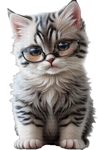 Katze Cat - Бесплатни анимирани ГИФ