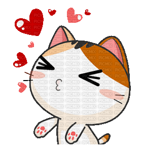 MMarcia gif gato kawaii anime cat - Free animated GIF - PicMix