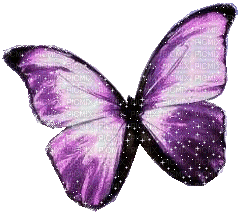 farfalla - Animovaný GIF zadarmo