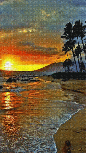 strand - beach - Darmowy animowany GIF