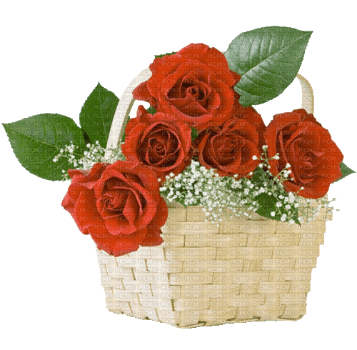 Flowers. Roses. Red. Basket. Leila - Animovaný GIF zadarmo
