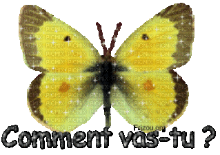 Papillon jaune - Comment vas-tu ? - Animovaný GIF zadarmo