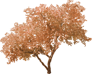 Tube arbre - Besplatni animirani GIF