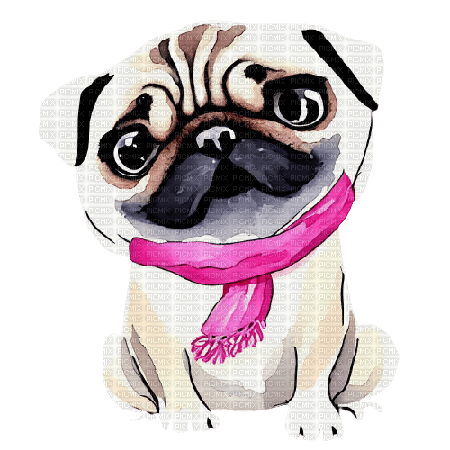 kikkapink dog pug watercolor animal winter - PNG gratuit
