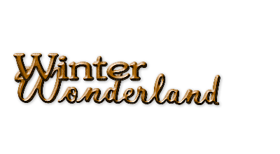 text winter wonderland dubravka4 - kostenlos png