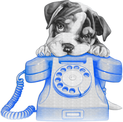 soave valentine animals deco  dog phone - безплатен png