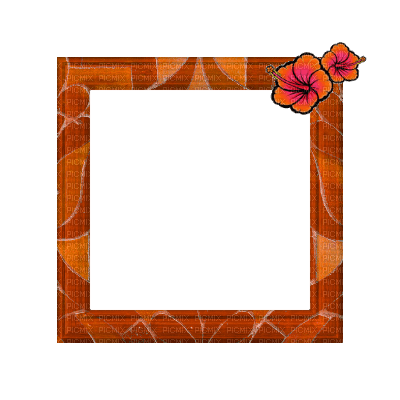 Small Orange Frame - 免费PNG