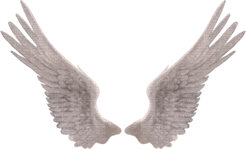 Flügel - PNG gratuit