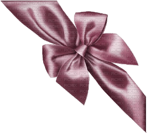 bows-purple - PNG gratuit