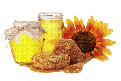 honey honig miel  spring printemps deco tube  fleur flower petit déjeuner frühstück breakfast jar - png ฟรี