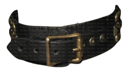 black collar - PNG gratuit