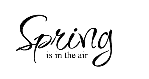 Spring text Bb2 - ilmainen png