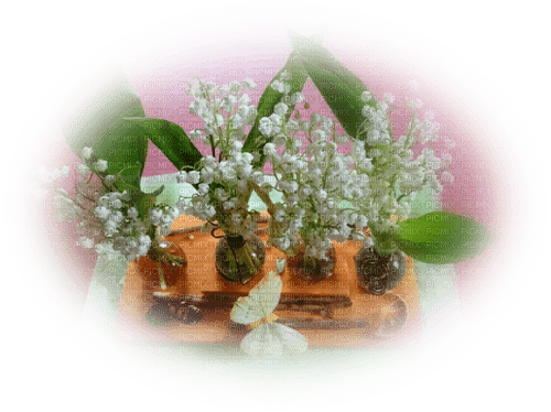 Frühling, Blumen, Vasen - png gratis