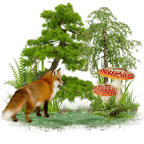 dolceluna fox spring summer - darmowe png