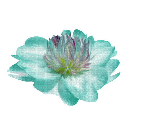 Flower - фрее пнг