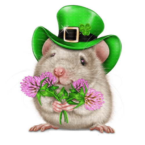 st. Patrick mouse  by nataliplus - фрее пнг