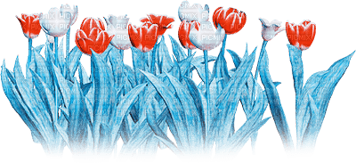 soave deco  flowers tulips border spring - ilmainen png
