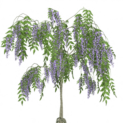 spring trees bp - δωρεάν png