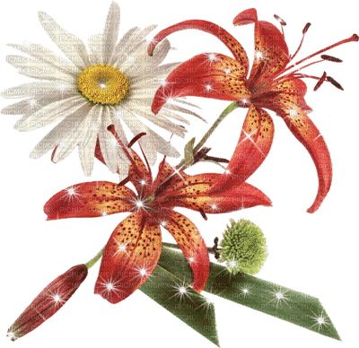 Blumen/Flowers - Besplatni animirani GIF