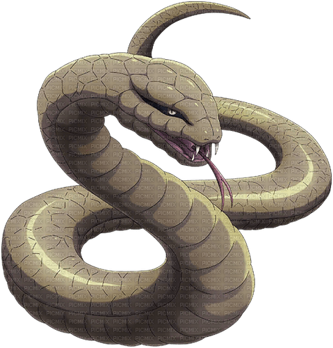 serpent - png grátis