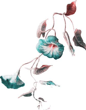 soave deco flowers branch animated  pink teal - Gratis animerad GIF