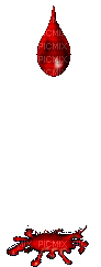 lagrima - Zdarma animovaný GIF