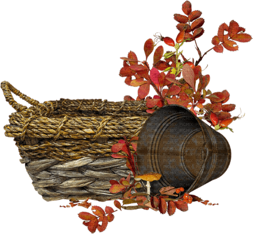 jesienny dekor - png grátis