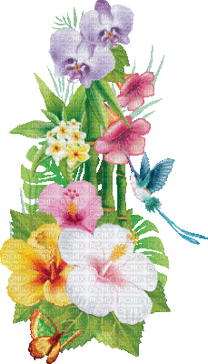 soave deco summer animated  flowers tropical - GIF animé gratuit
