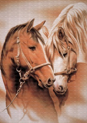 horse with foal bp - 無料png