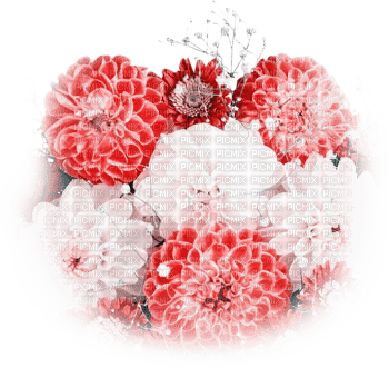soave deco flowers  Chrysanthemums pink white - ingyenes png