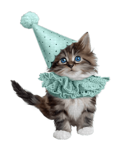 Birthday Cat Kitten - 無料png