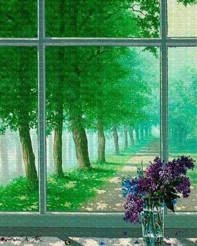 Beautiful Window - ücretsiz png