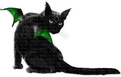 soave deco cat animals gothic halloween - бесплатно png