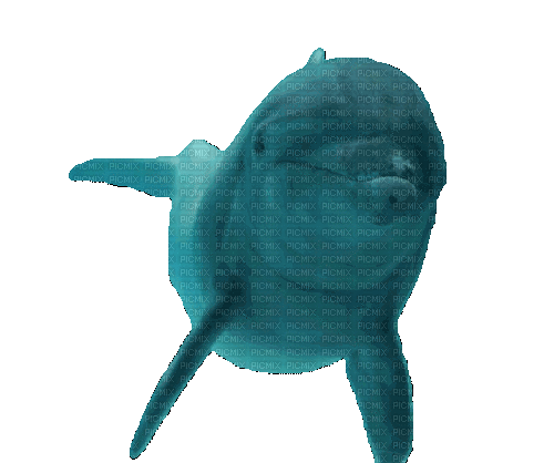 Дельфин - Animovaný GIF zadarmo