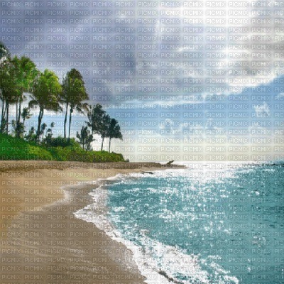 fond beach bp - PNG gratuit