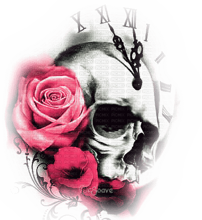 soave deco gothic skull  black white pink - Free PNG