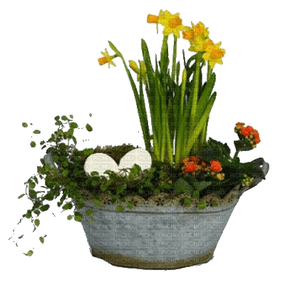 easter-flower - Free PNG