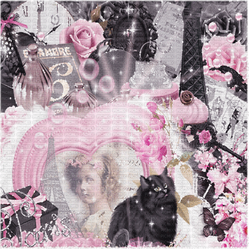 black pink milla1959 - Ilmainen animoitu GIF