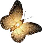 butterflies katrin - zdarma png
