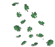 Saint Patrick - Darmowy animowany GIF