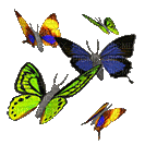 Kaz_Creations Deco Butterflies  Colours Animated - GIF เคลื่อนไหวฟรี