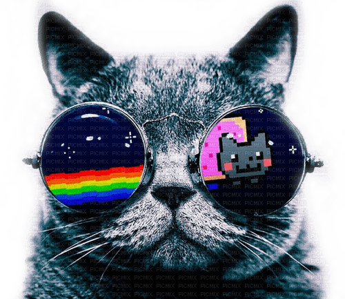 Nyan Cat (Render by me) - darmowe png