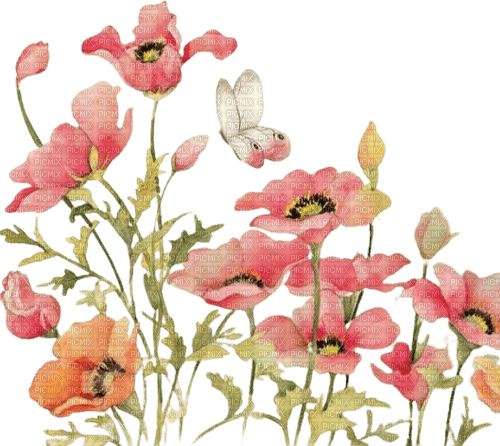 loly33 coquelicot papillon - kostenlos png