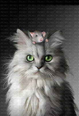 cats. mit maus - Free PNG